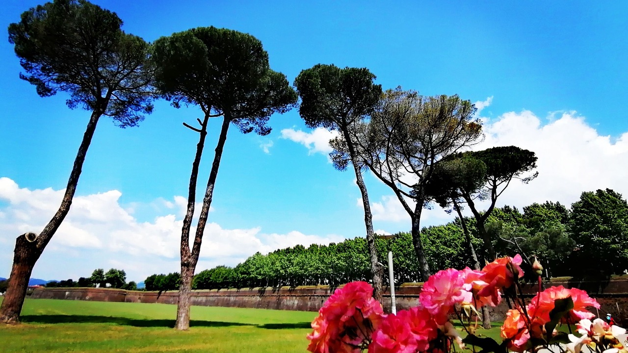 Photo of Outdoor in Lucca Historical Center