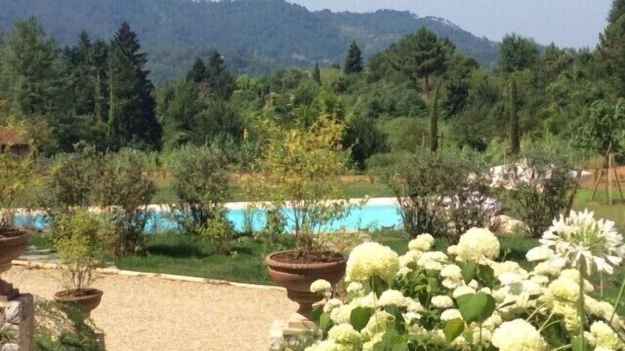 Photo of Outdoor in Camaiore