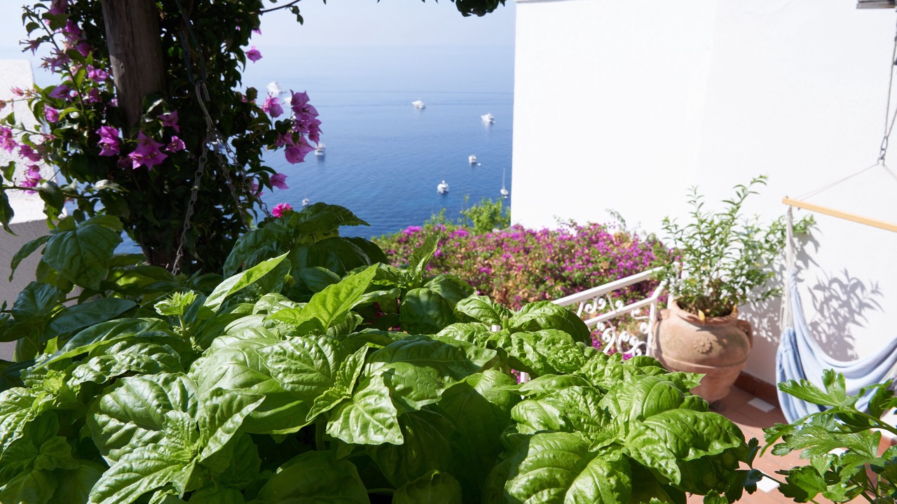 Photo of Outdoor in Marina Piccola