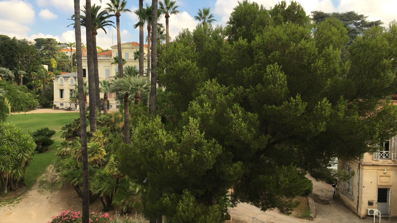 Photo of Outdoor in Cannes