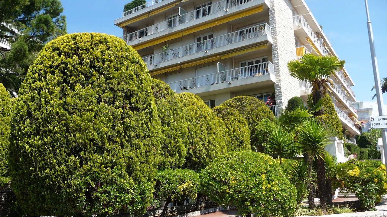 Photo of Outdoor in Cimiez