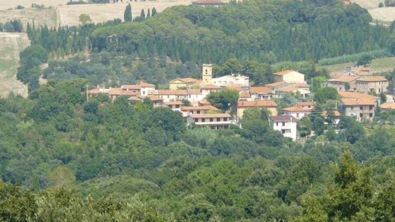 Photo of Others in Castellina Marittima