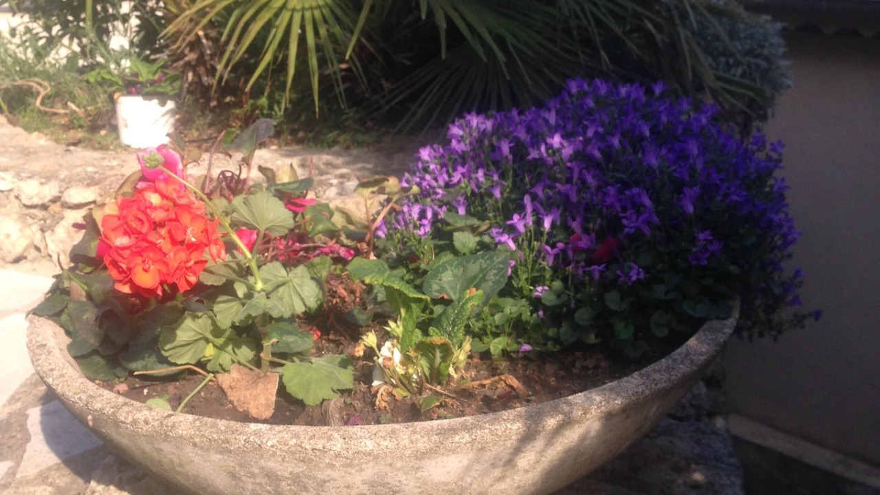 Photo of Outdoor in Gattieres