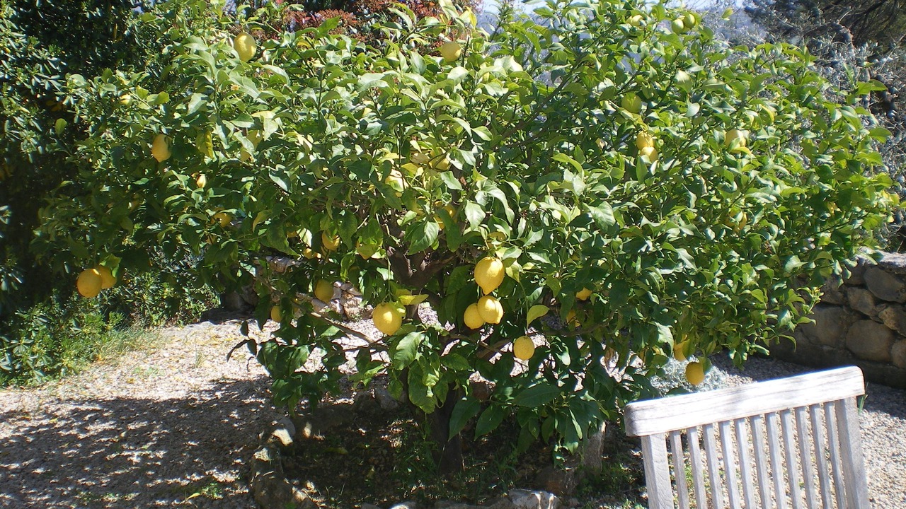 Photo of Others in Gattieres