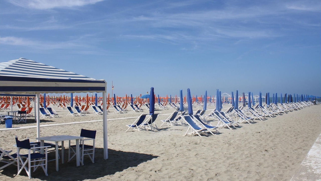 Photo of Others in Pietrasanta