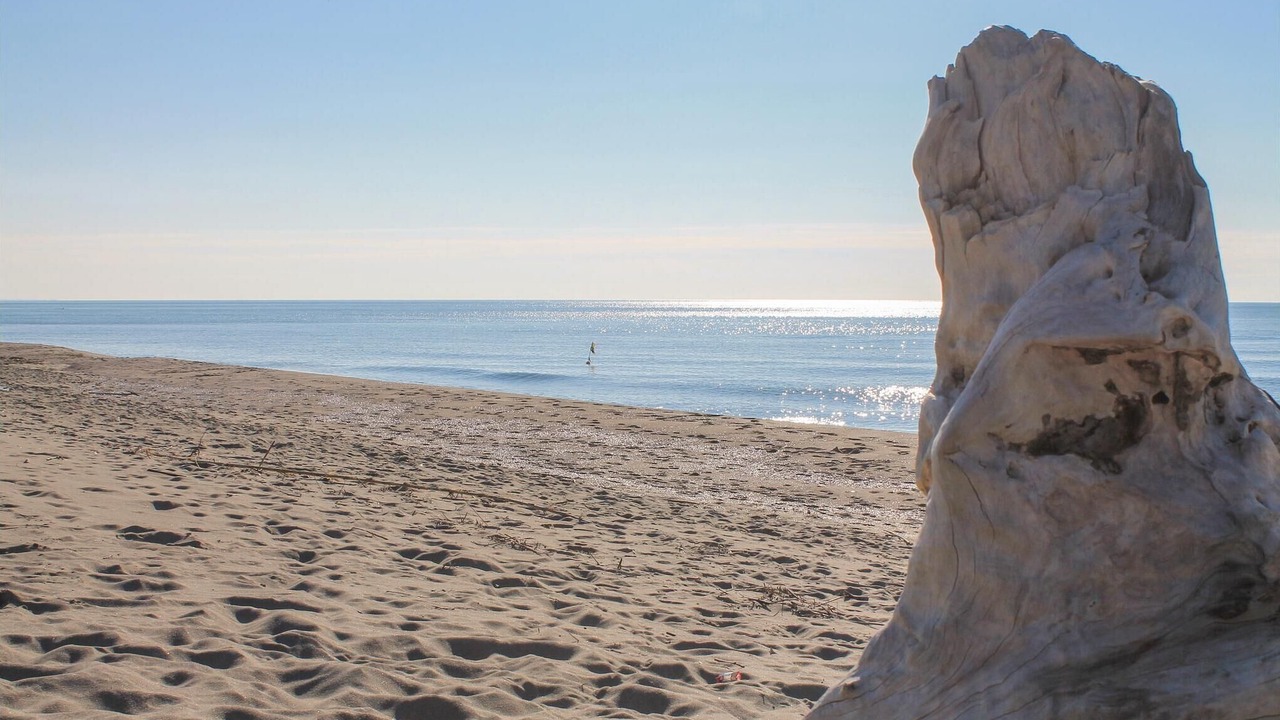 Photo of Others in Pietrasanta