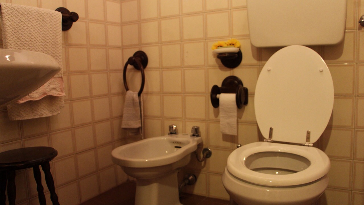 Photo of Bathroom in Pieve di Compito