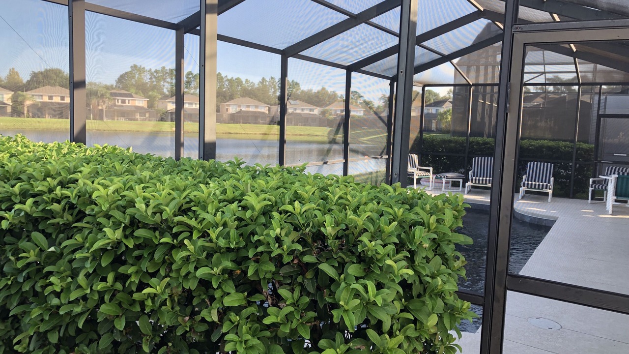 Photo of Outdoor in Sunset Lakes