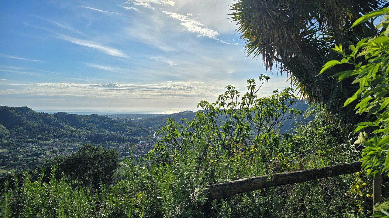 Photo of Others in Camaiore