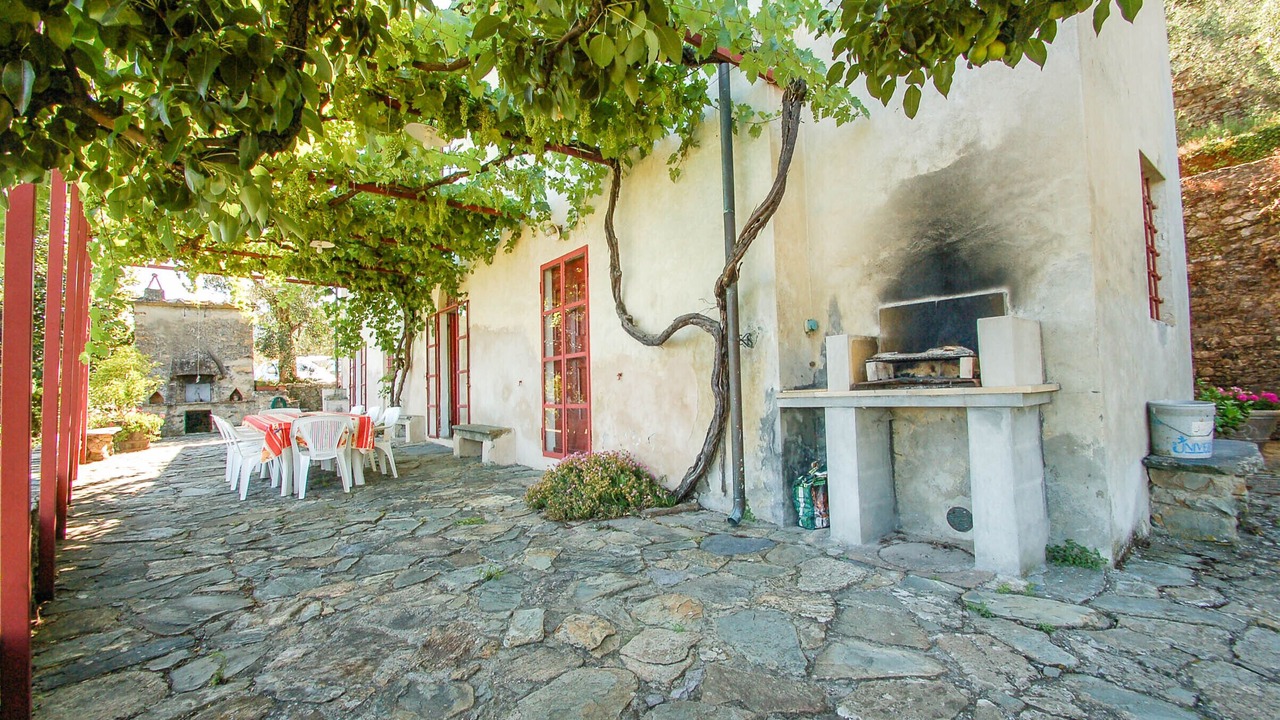 Photo of Outdoor in Buti