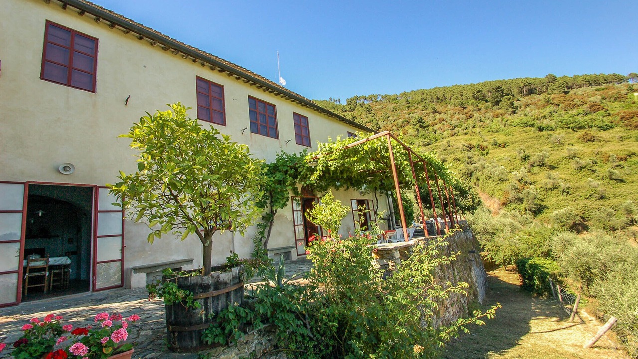 Photo of Outdoor in Buti