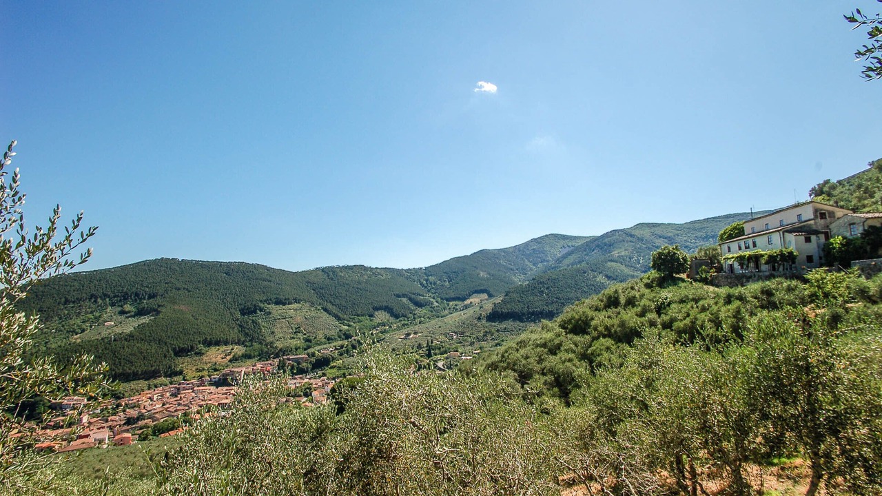 Photo of Outdoor in Buti