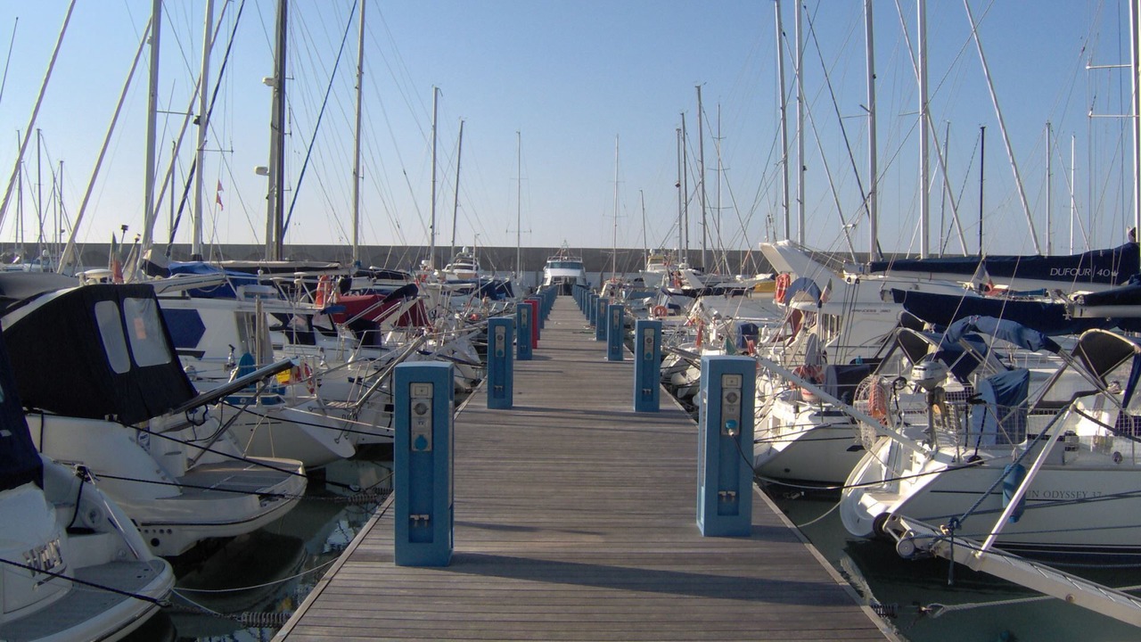 Photo of Others in Castiglioncello