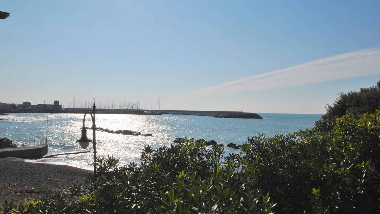 Photo of Others in Castiglioncello