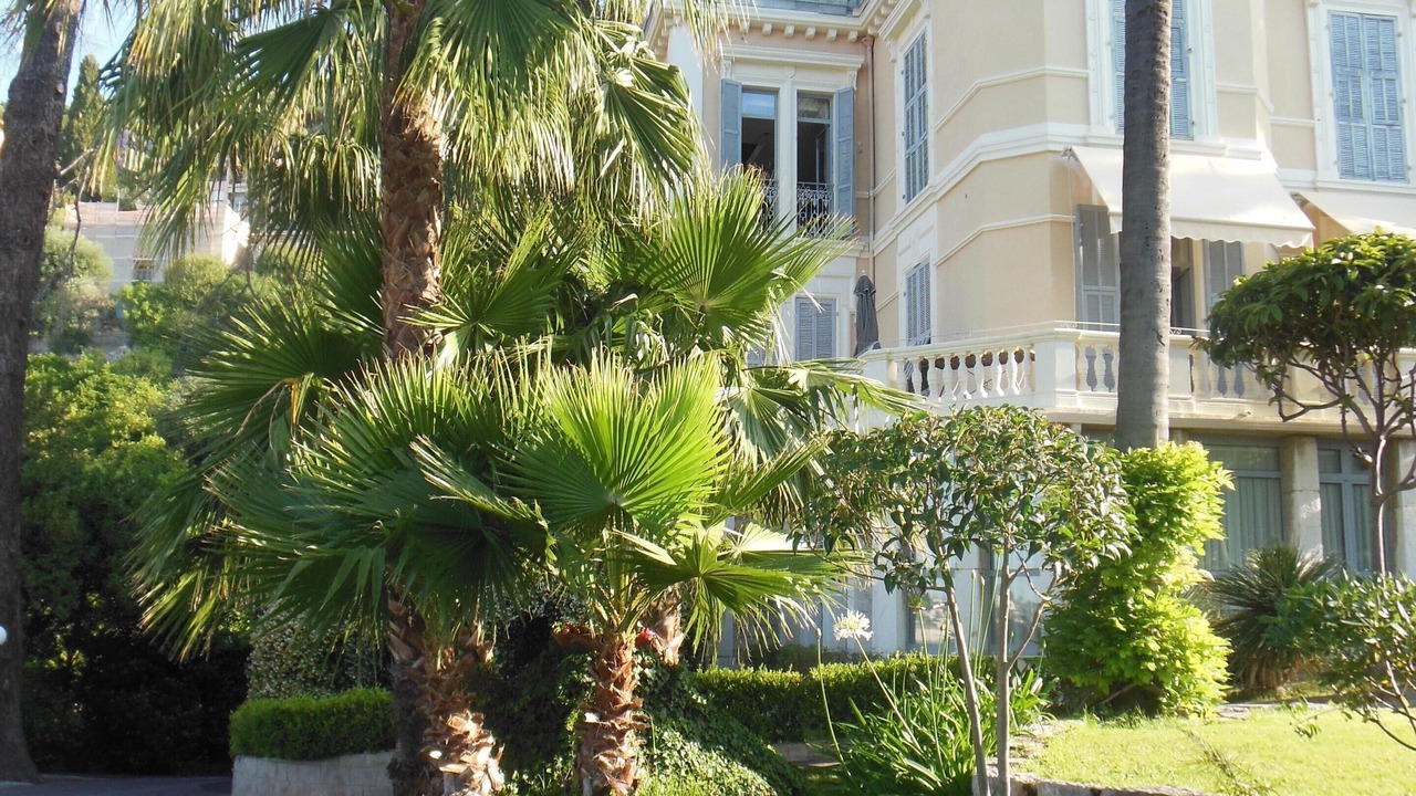 Photo of Outdoor in Menton