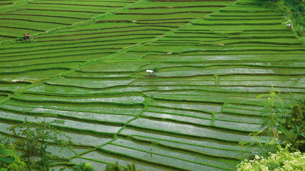 Photo of Others in Lokapaksa