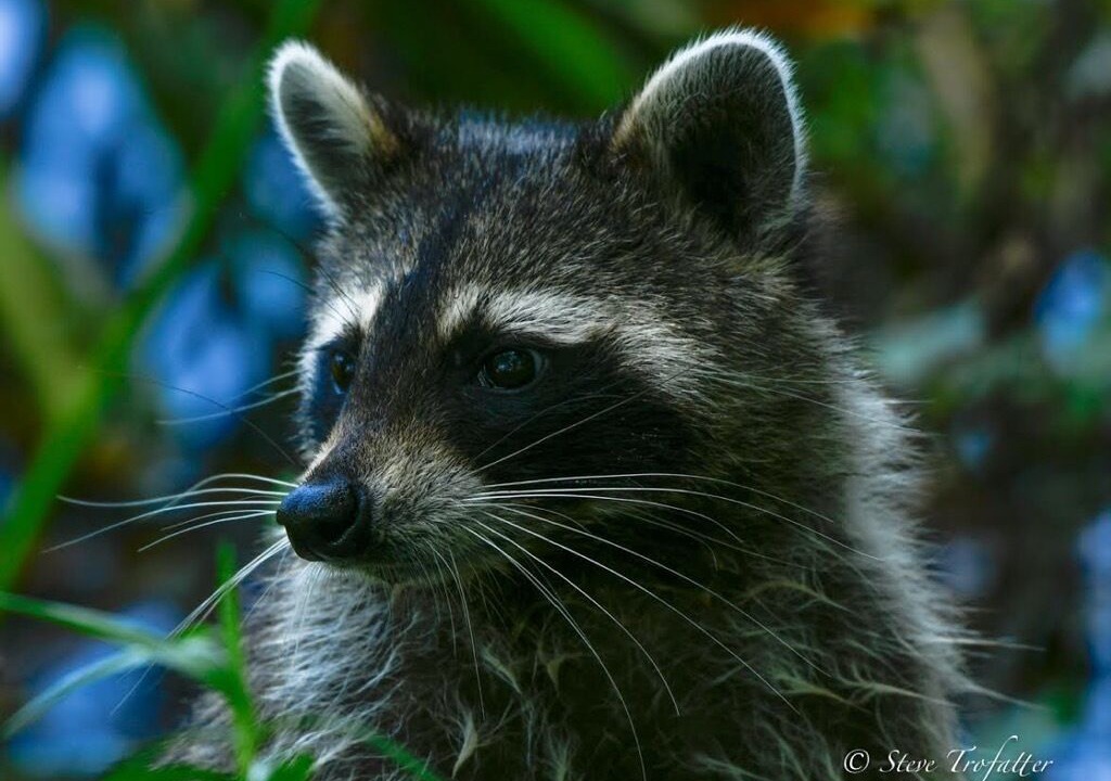 Photo of Others in Altamonte Springs