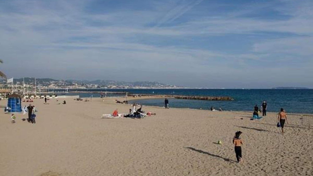 Photo of Others in Mandelieu-La-Napoule
