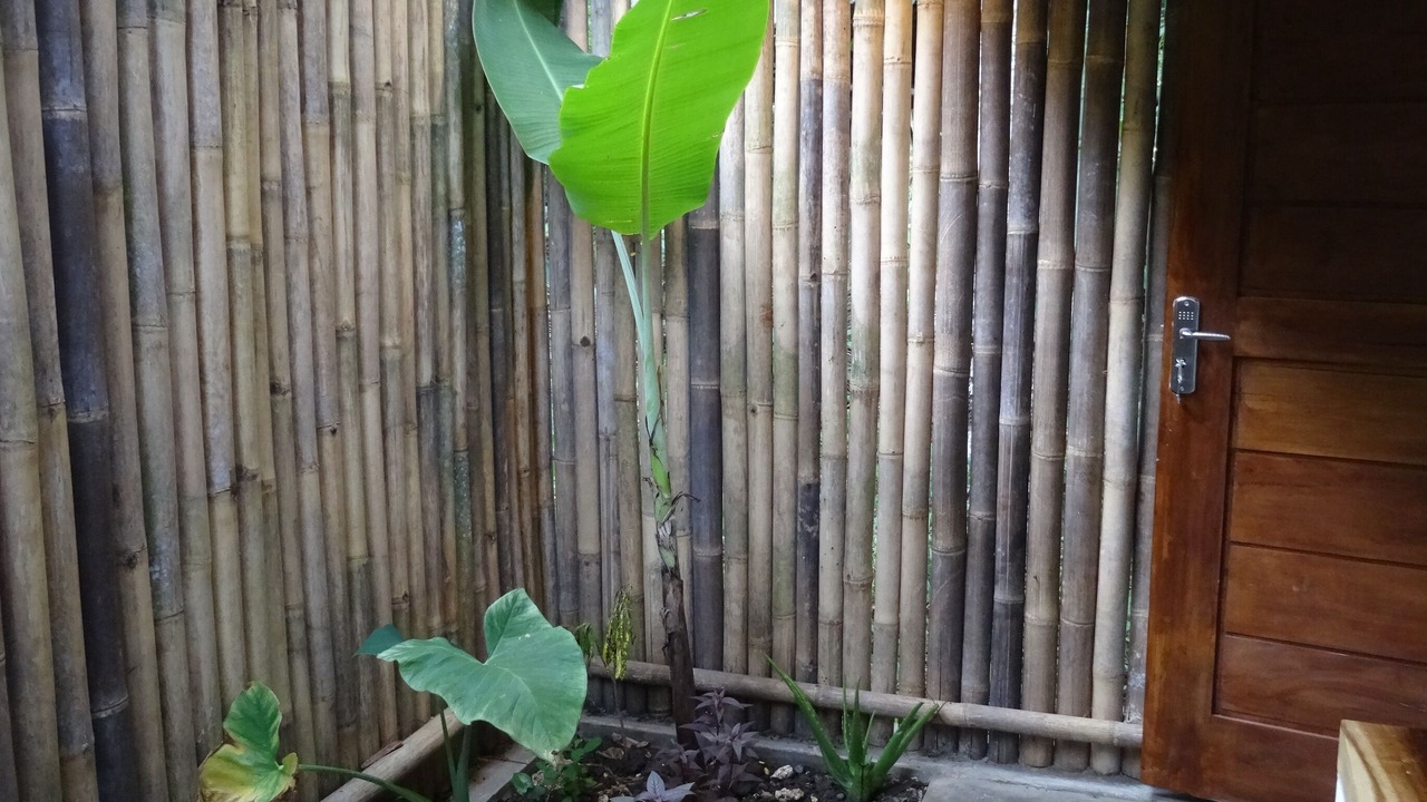 Photo of Outdoor in Batu Karas