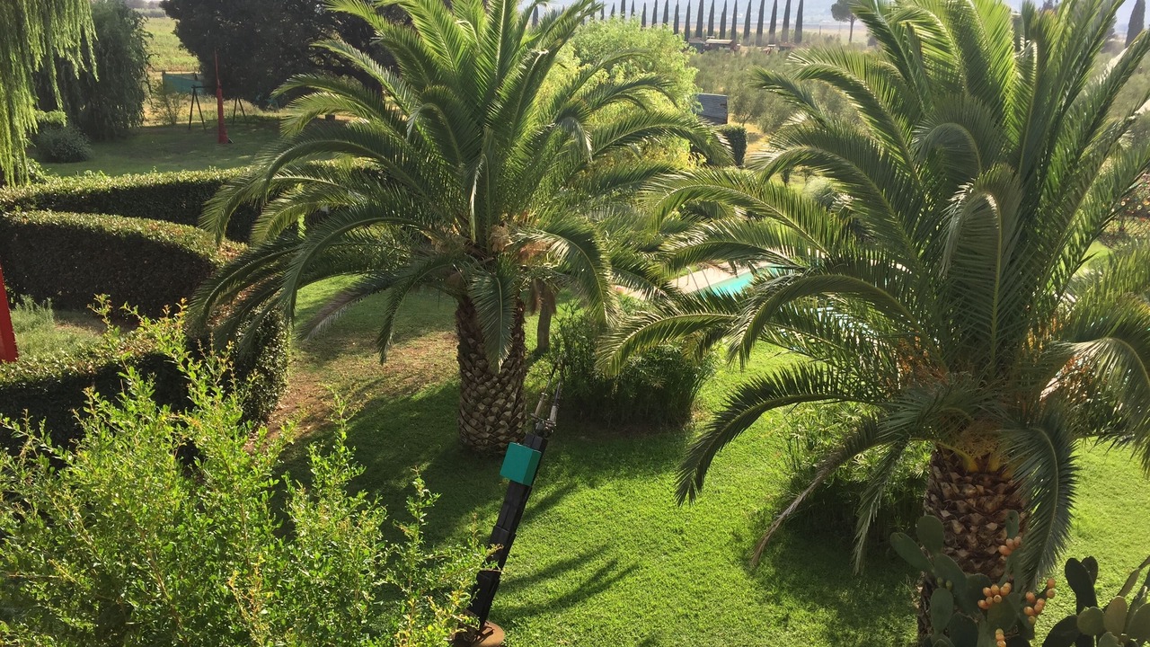 Photo of Outdoor in Montorsaio