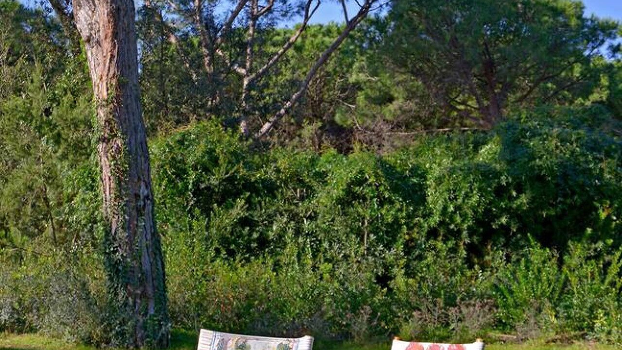 Photo of Outdoor in Marina di Bibbona
