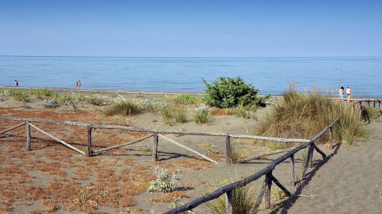 Photo of Others in Marina di Bibbona