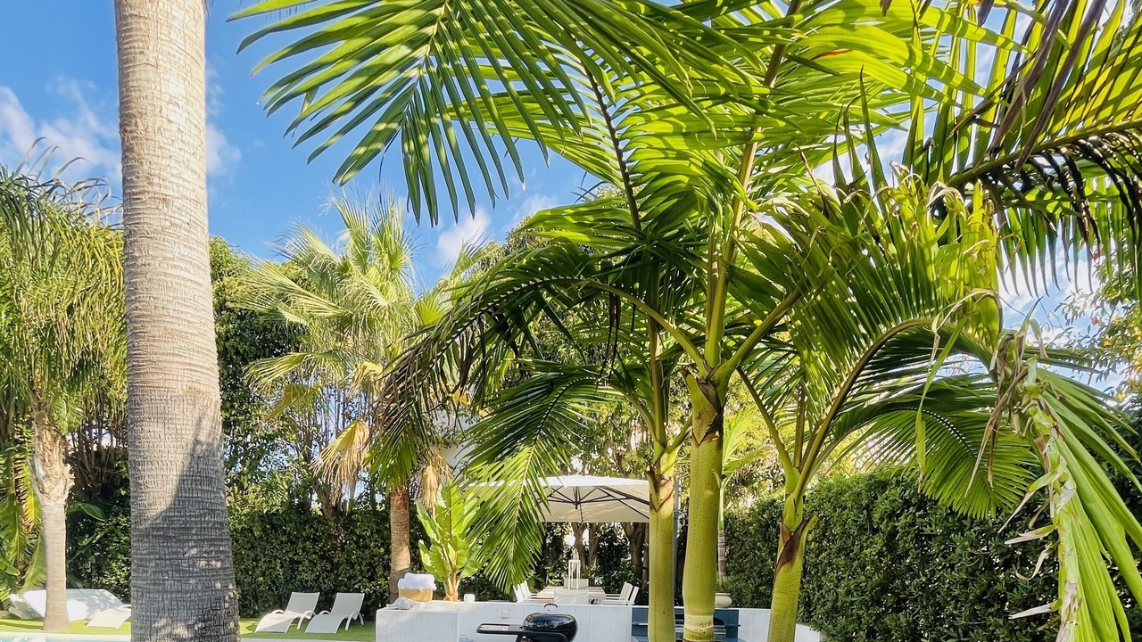 Photo of Patio Balcony in Plaine de la Brague