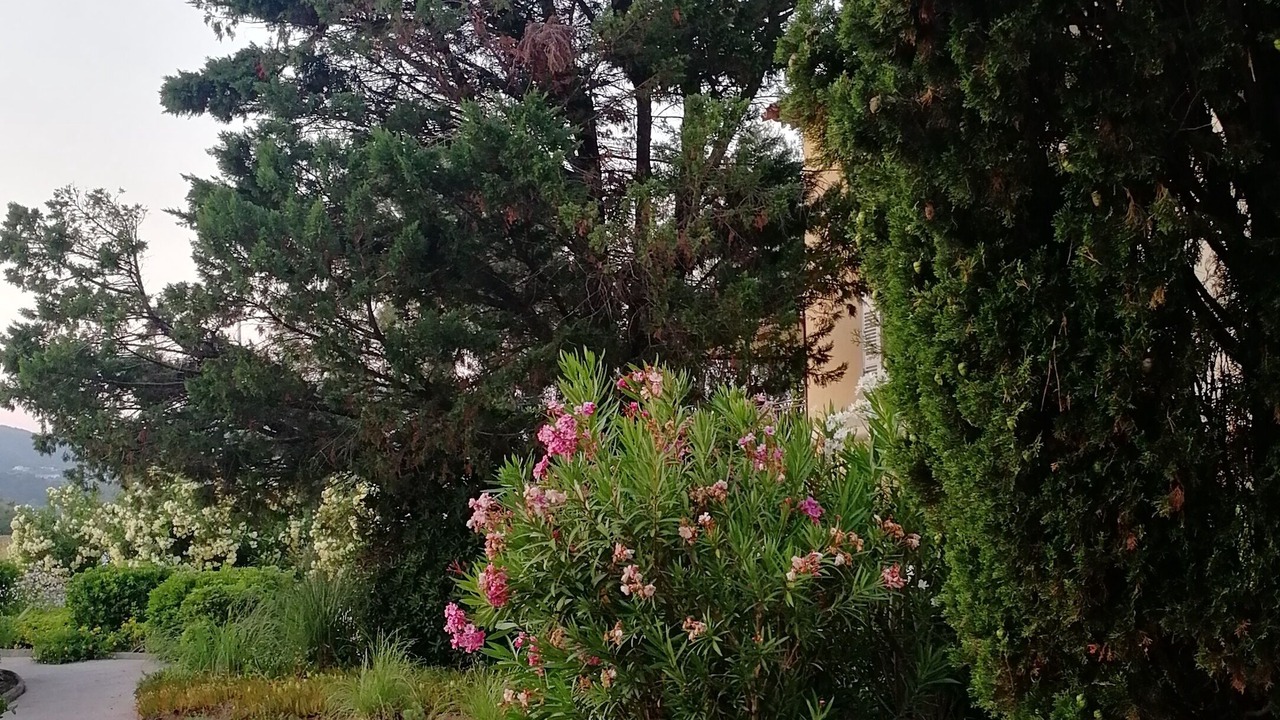 Photo of Outdoor in Port Grimaud