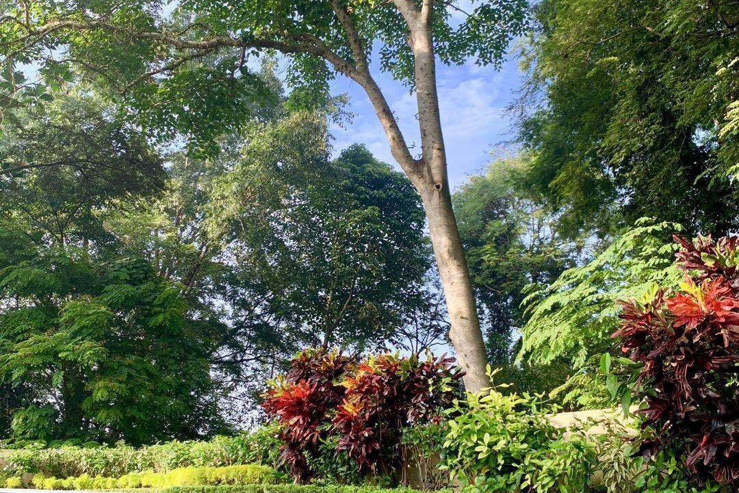 Photo of Outdoor in Kediri