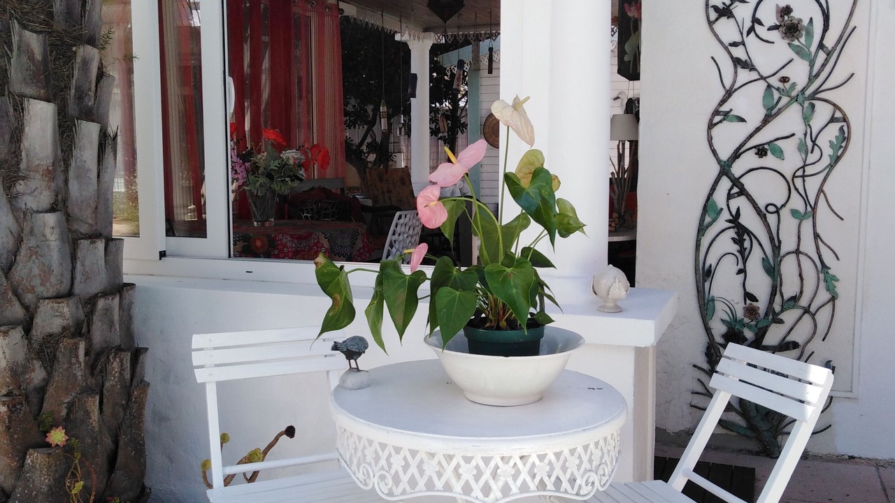 Photo of Outdoor in Saint-Aygulf
