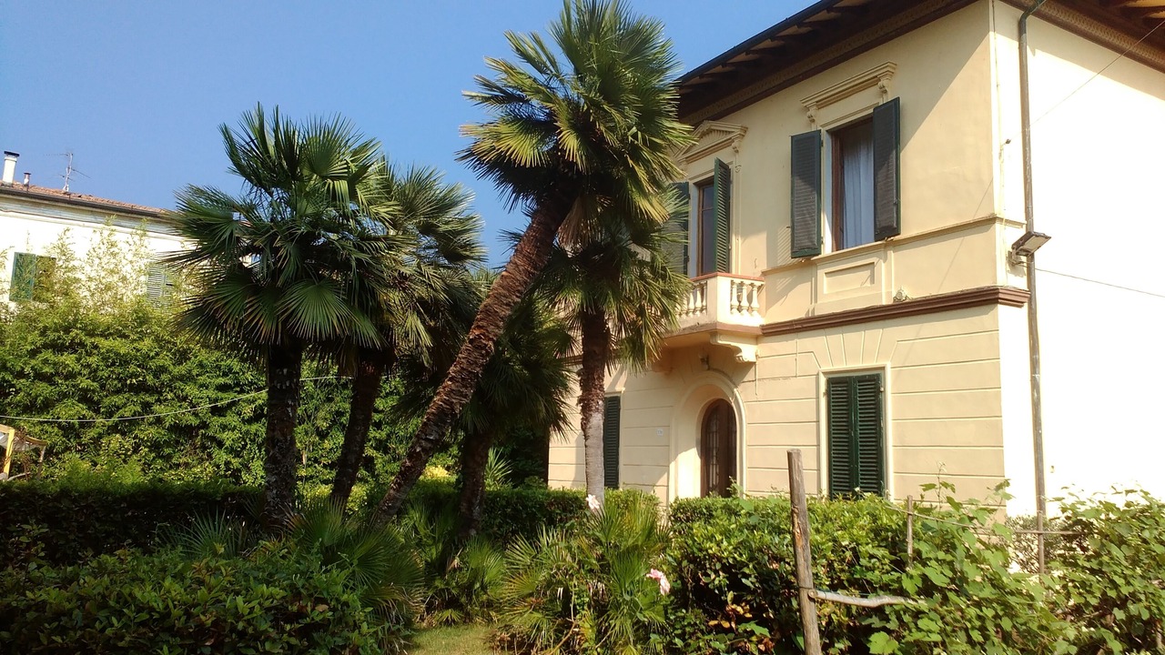 Photo of Outdoor in Torre del Lago Puccini