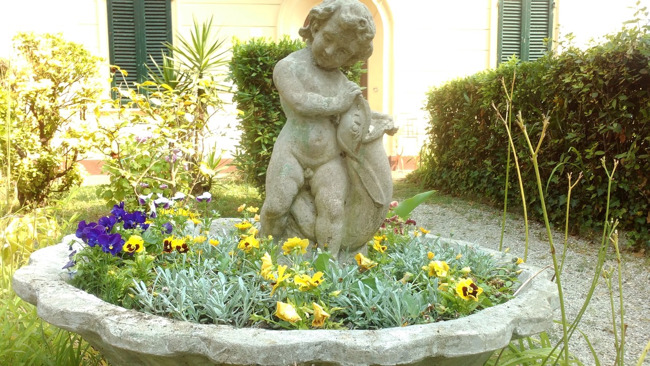 Photo of Outdoor in Torre del Lago Puccini