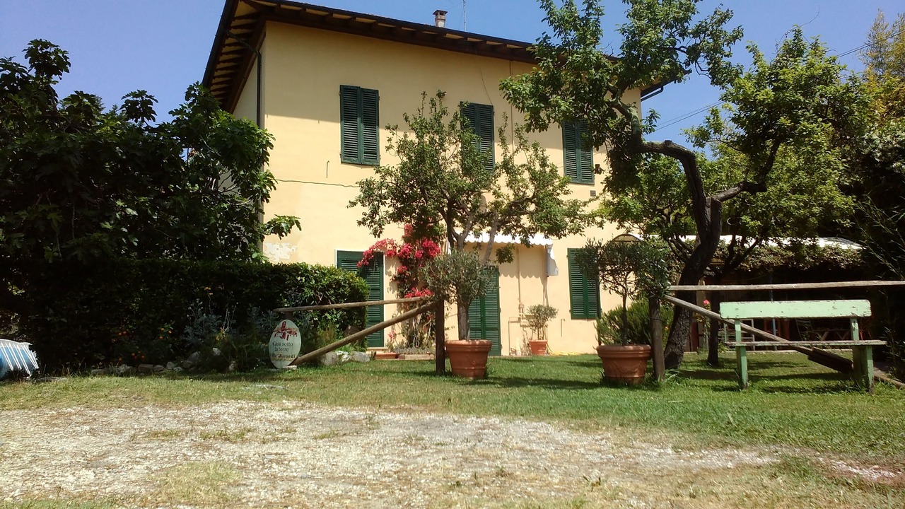 Photo of Outdoor in Torre del Lago Puccini