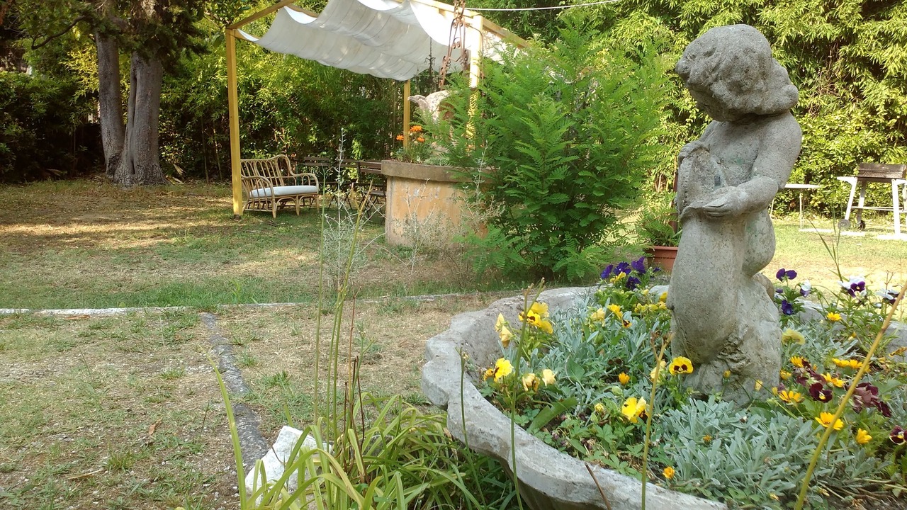 Photo of Outdoor in Torre del Lago Puccini