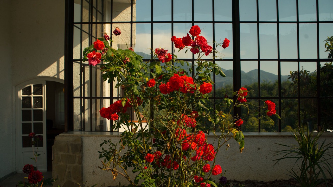 Photo of Outdoor in Maglietola