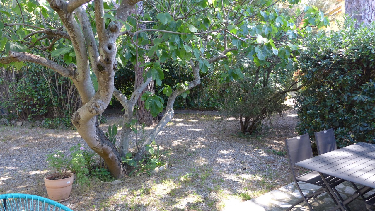 Photo of Outdoor in Saint-Tropez