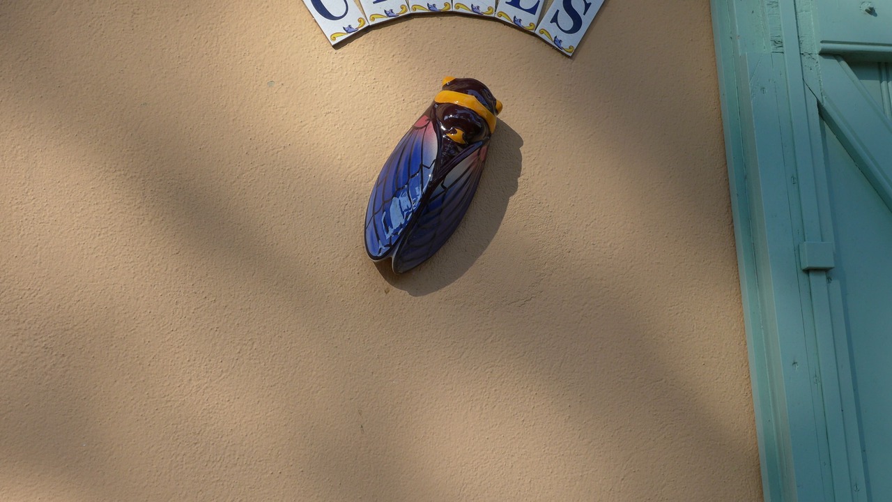 Photo of Outdoor in Saint-Tropez