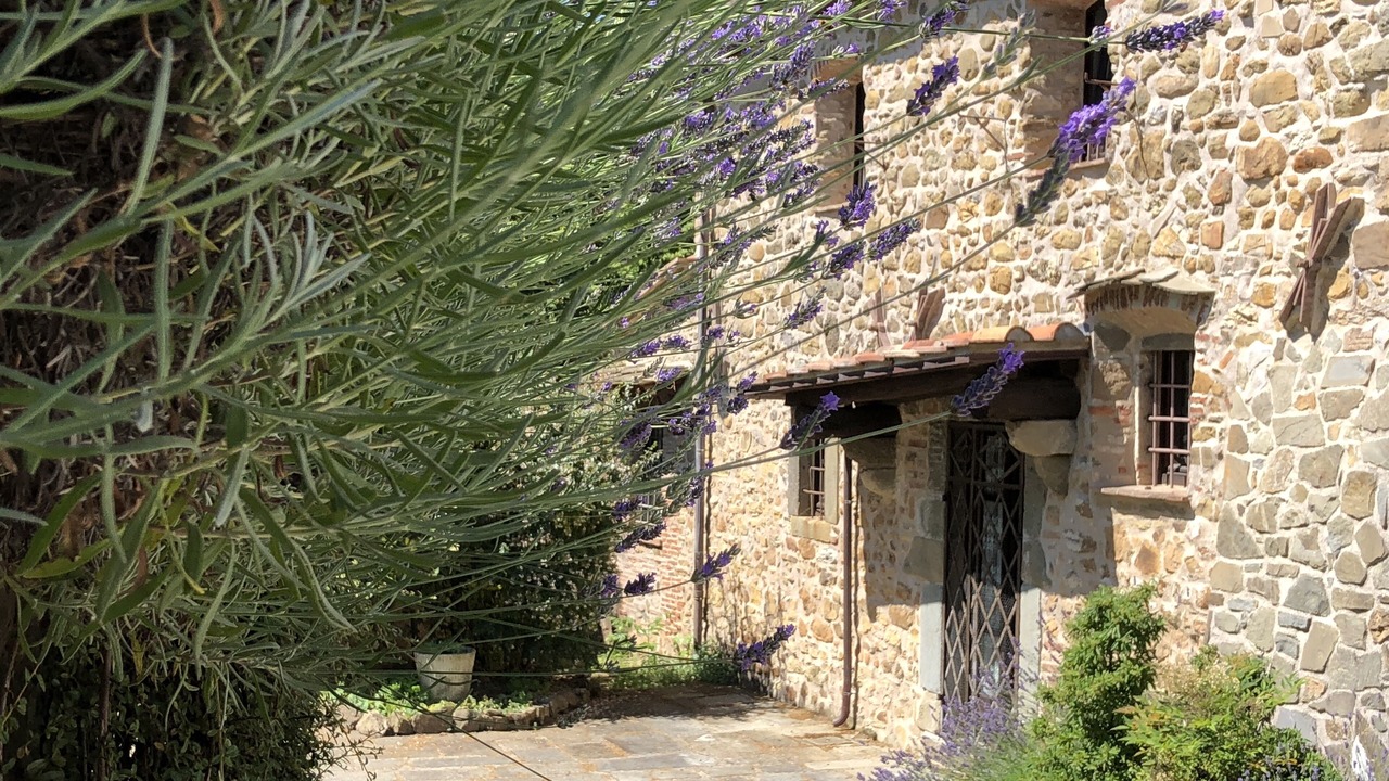 Photo of Outdoor in San Terenzo Monti