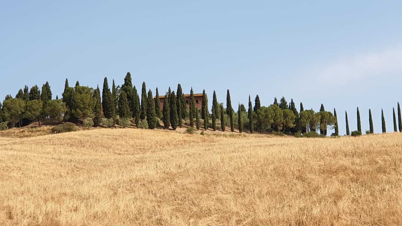 Photo of Others in Ponte di Gabbiano