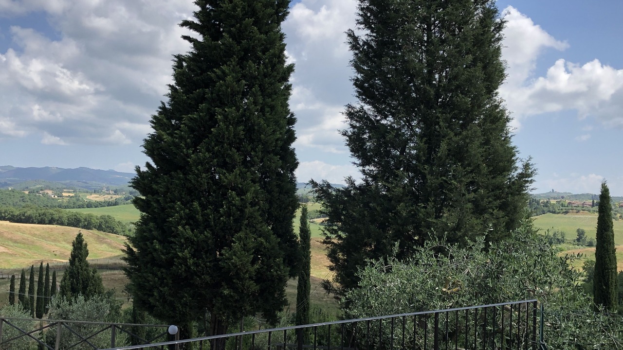 Photo of Others in Ponte di Gabbiano