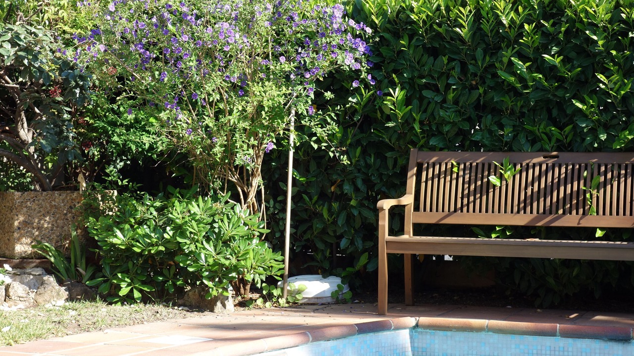 Photo of Outdoor in Cagnes-sur-Mer