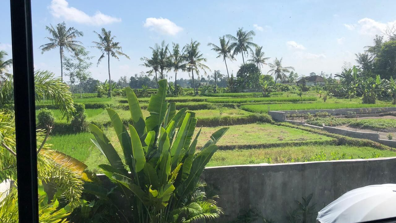 Photo of Others in Ubud City-Centre