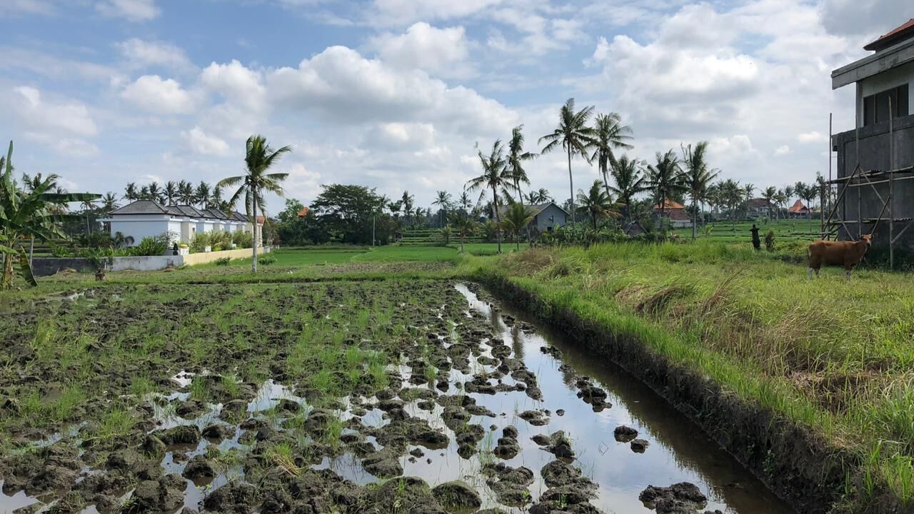 Photo of Outdoor in Ubud City-Centre