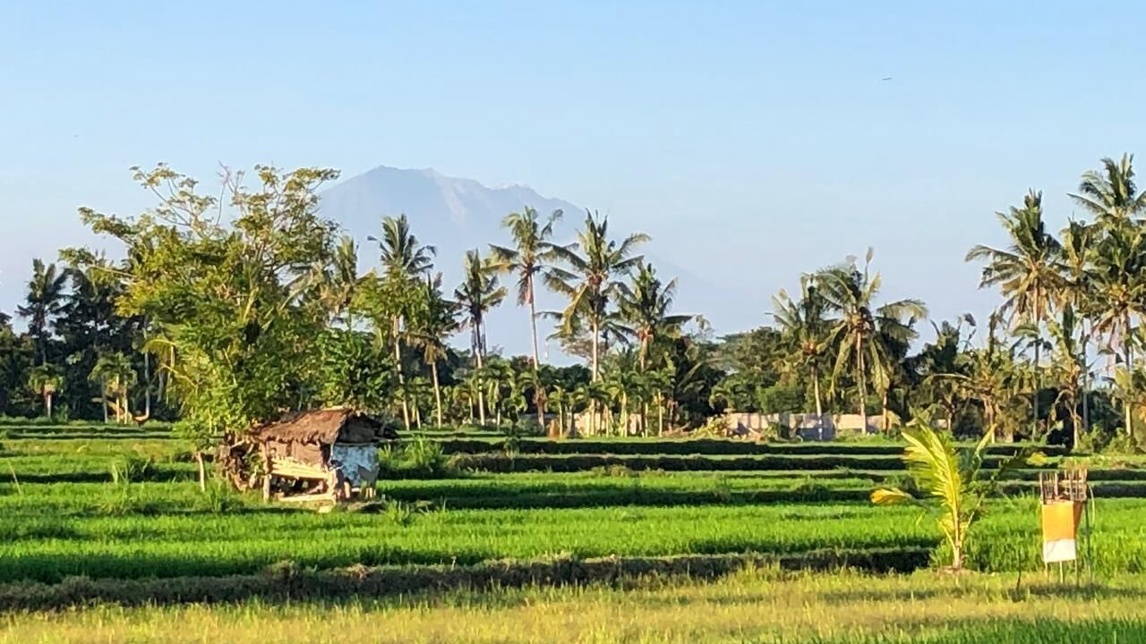 Photo of Outdoor in Ubud City-Centre