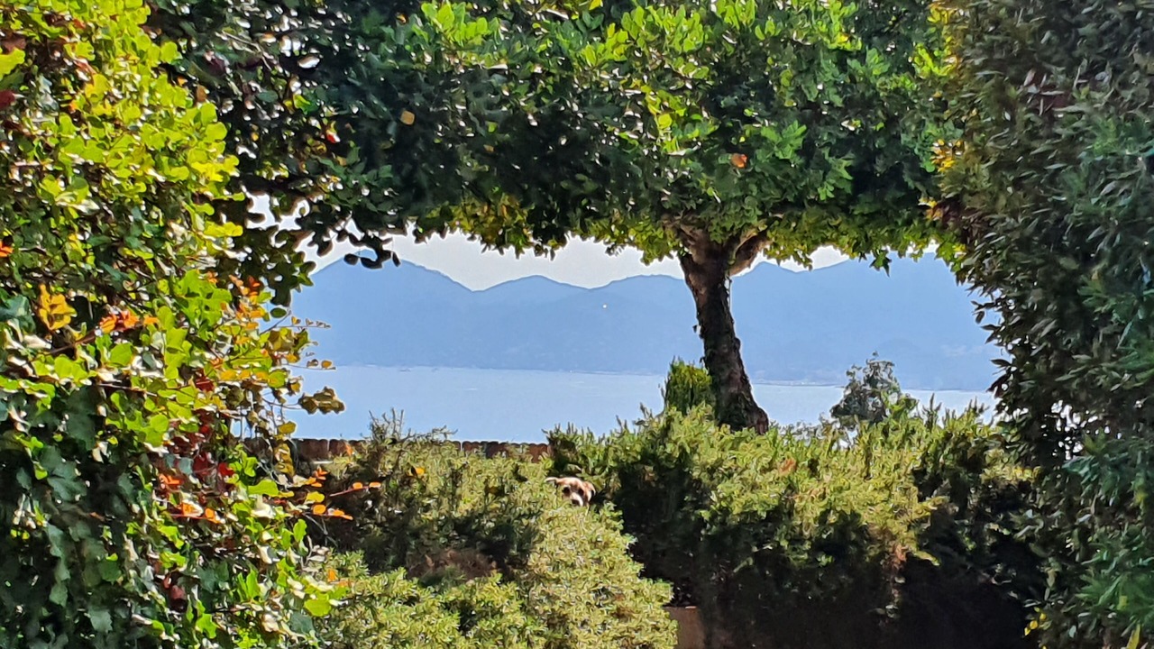 Photo of Outdoor in California - Pezou
