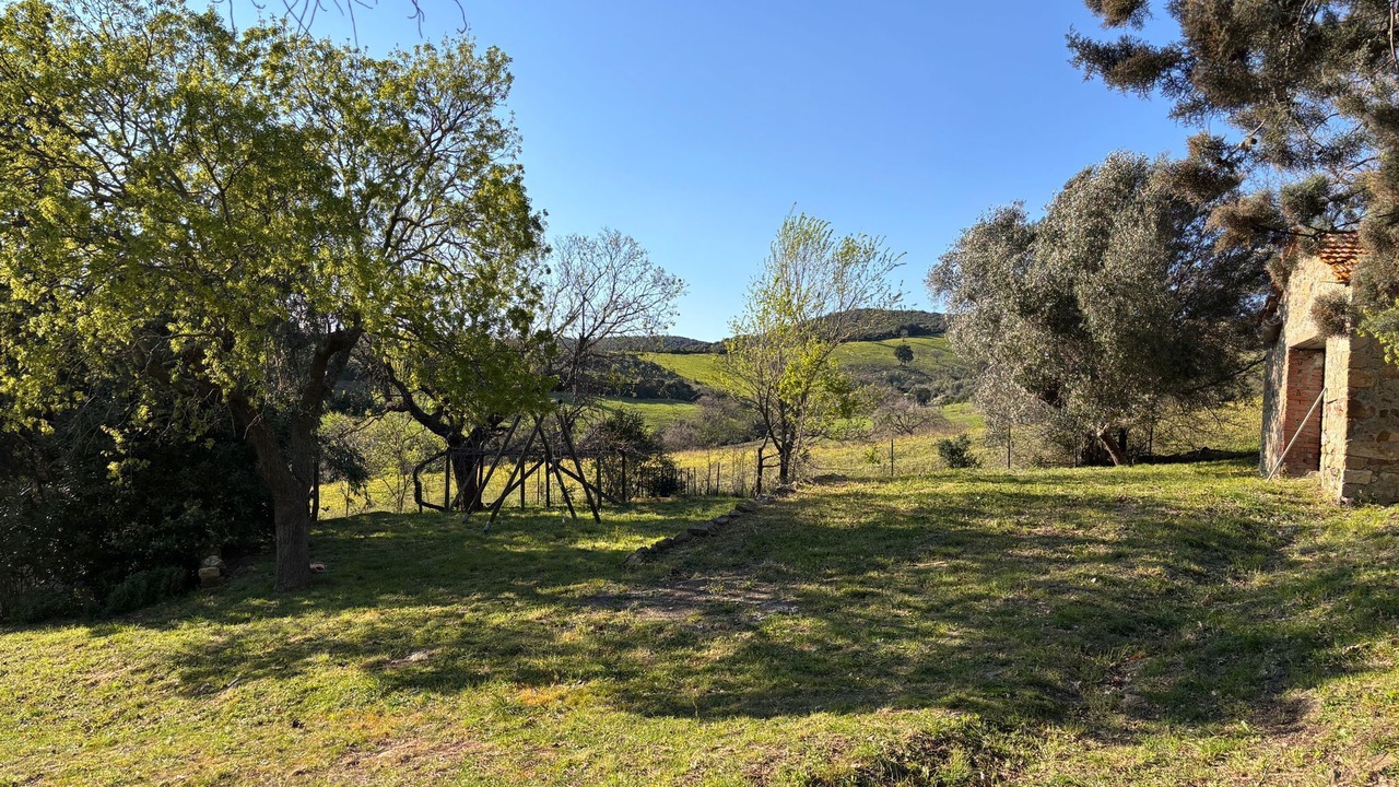 Photo of Outdoor in Campagnatico