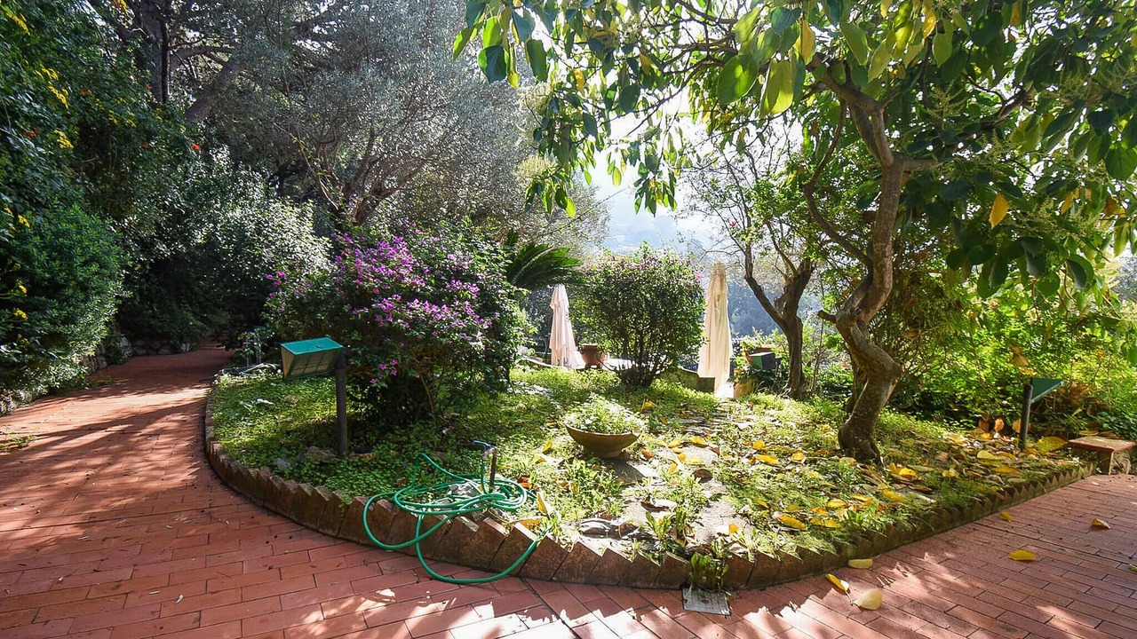Photo of Others in Anacapri