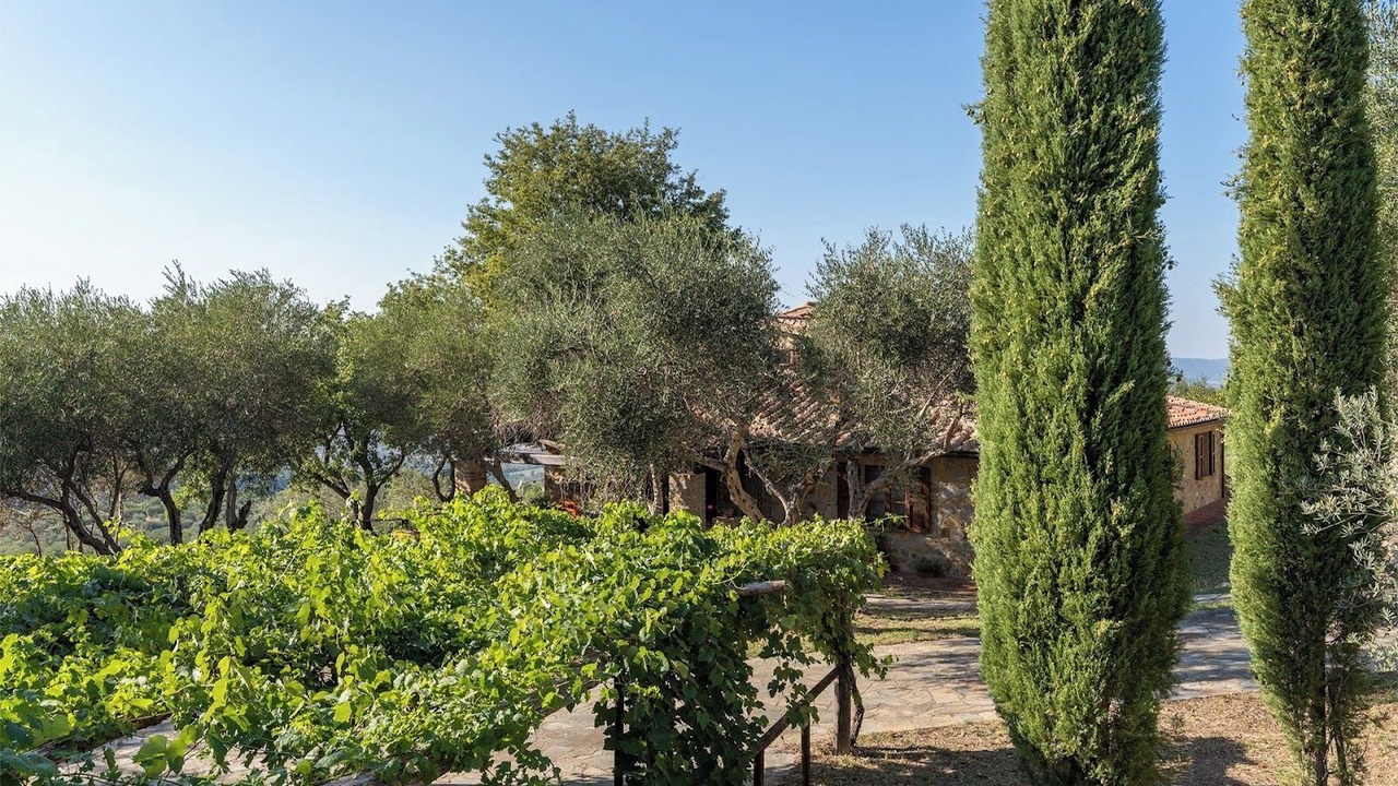 Photo of Outdoor in Cinigiano