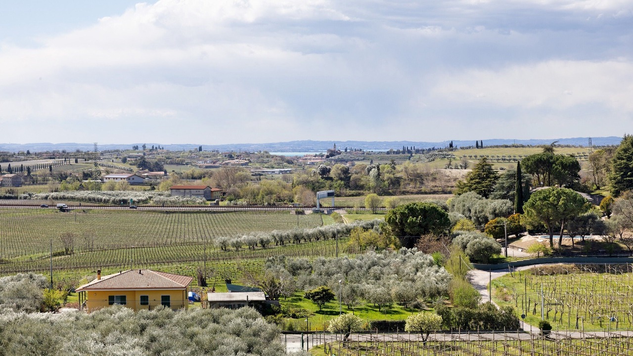 Photo of Outdoor in Cavaion Veronese