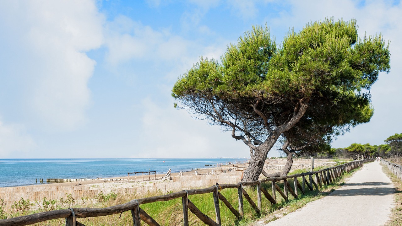 Photo of Others in Bibione Pineda